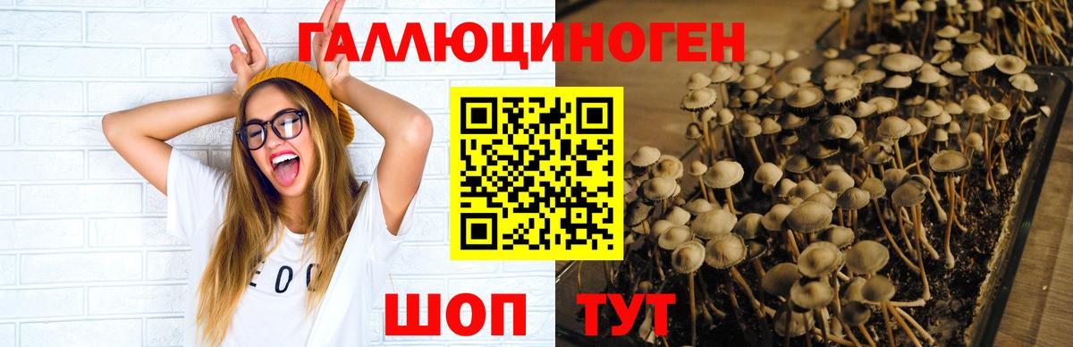 Рославль  Псилоцибиновые грибы ЛСД  Вход с VPN 